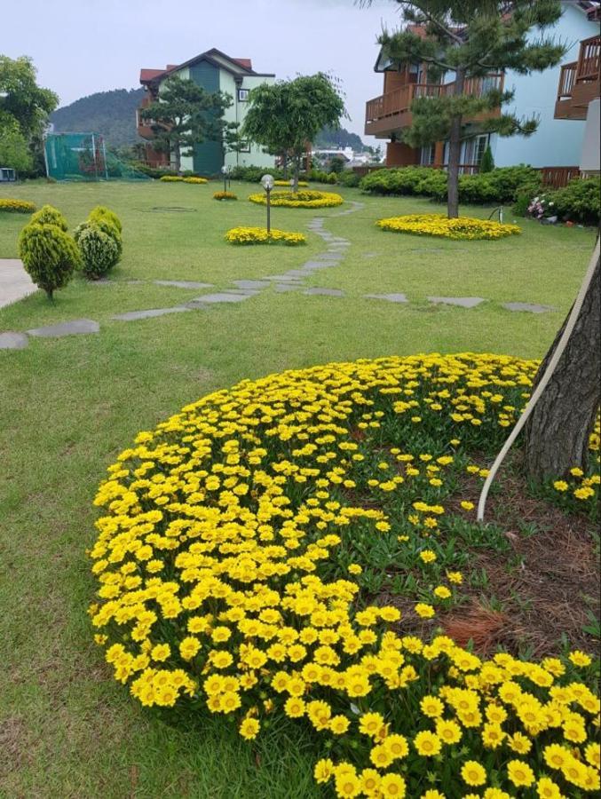 Jeju Time-Travel Pension Экстерьер фото